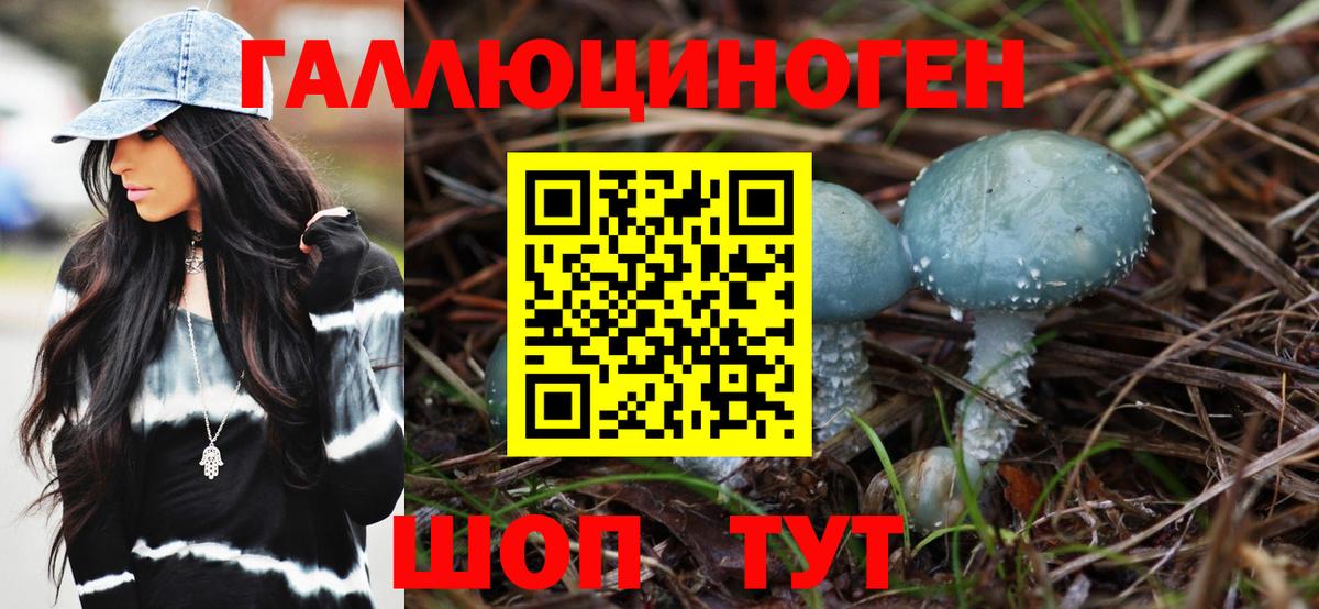 Галлюциногенные грибы GOLDEN TEACHER Петрозаводск